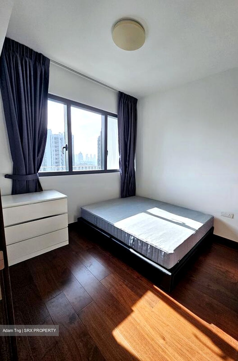 Normanton Park (D5), Apartment #576355511